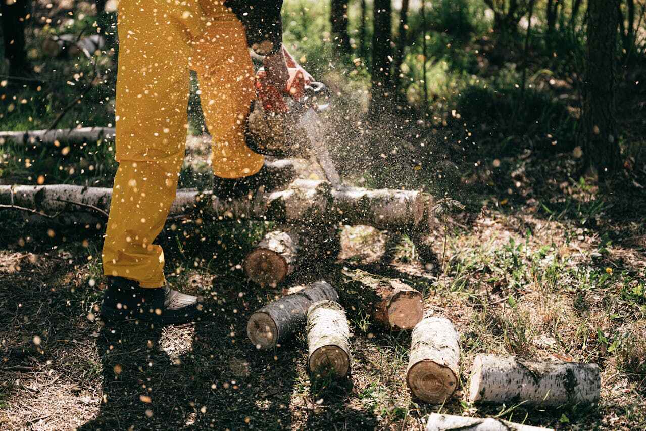 Tree Branch Trimming in Caribou, ME